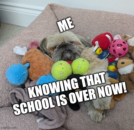 Finally I am free | ME; KNOWING THAT SCHOOL IS OVER NOW! | image tagged in clean,safe,fun | made w/ Imgflip meme maker