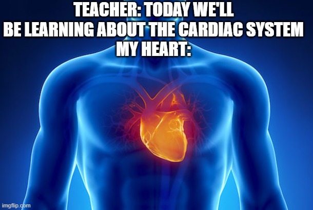 TEACHER: TODAY WE'LL BE LEARNING ABOUT THE CARDIAC SYSTEM
MY HEART: | image tagged in memes,funny | made w/ Imgflip meme maker