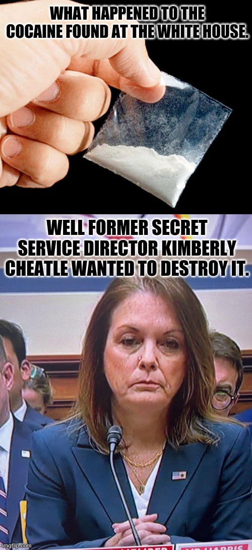 Remember Everyone Wondered | WHAT HAPPENED TO THE COCAINE FOUND AT THE WHITE HOUSE. WELL FORMER SECRET SERVICE DIRECTOR KIMBERLY CHEATLE WANTED TO DESTROY IT. | image tagged in secret service director,wanted,hide,cocaine,memes,politics | made w/ Imgflip meme maker