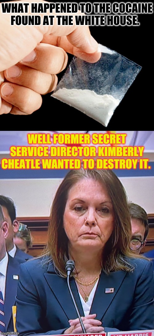 Remember How Everybody Was Wondering About | WHAT HAPPENED TO THE COCAINE FOUND AT THE WHITE HOUSE. WELL FORMER SECRET SERVICE DIRECTOR KIMBERLY CHEATLE WANTED TO DESTROY IT. | image tagged in secret service,destroy,white,house,cocaine,memes | made w/ Imgflip meme maker