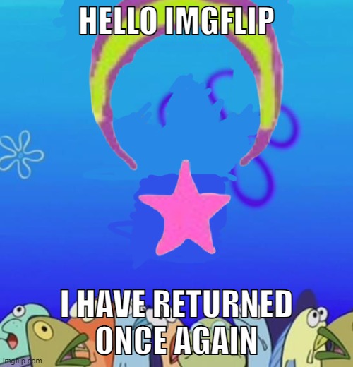 i have returned once again | HELLO IMGFLIP; I HAVE RETURNED ONCE AGAIN | image tagged in im back,hello chat | made w/ Imgflip meme maker