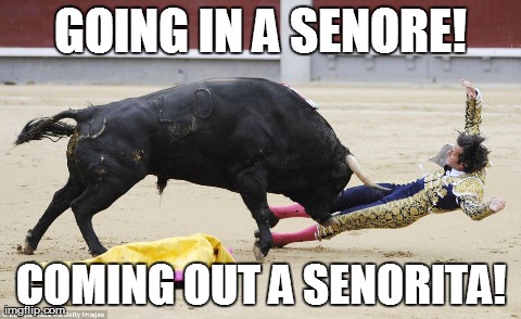 Bull 1 - Matador 0 | GOING IN A SENORE! COMING OUT A SENORITA! | image tagged in funny | made w/ Imgflip meme maker