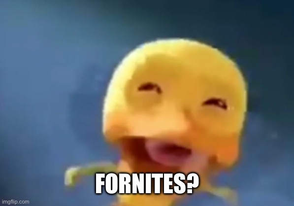 crying duck | FORNITES? | image tagged in crying duck | made w/ Imgflip meme maker