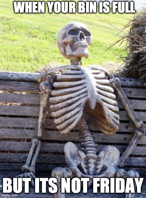 Waiting Skeleton | WHEN YOUR BIN IS FULL; BUT ITS NOT FRIDAY | image tagged in memes | made w/ Imgflip meme maker
