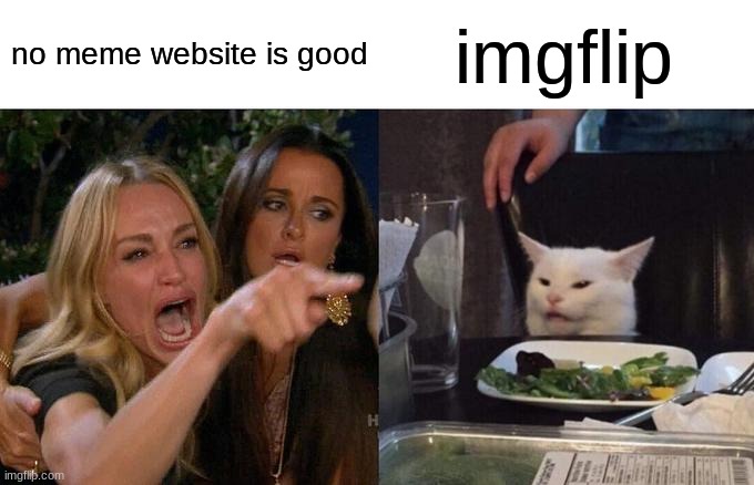 Woman Yelling At Cat | no meme website is good; imgflip | image tagged in memes,woman yelling at cat | made w/ Imgflip meme maker