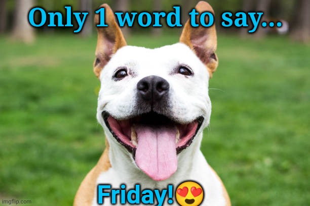 #Friday | Only 1 word to say... Friday!😍 | made w/ Imgflip meme maker