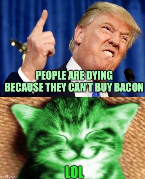 Trump spouting nonsense | PEOPLE ARE DYING BECAUSE THEY CAN’T BUY BACON; LOL | image tagged in donald trump,happy raycat,memes | made w/ Imgflip meme maker