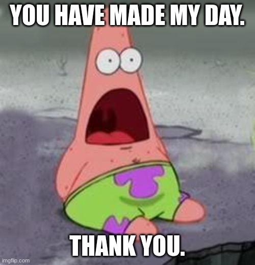 Suprised Patrick | YOU HAVE MADE MY DAY. THANK YOU. | image tagged in suprised patrick | made w/ Imgflip meme maker