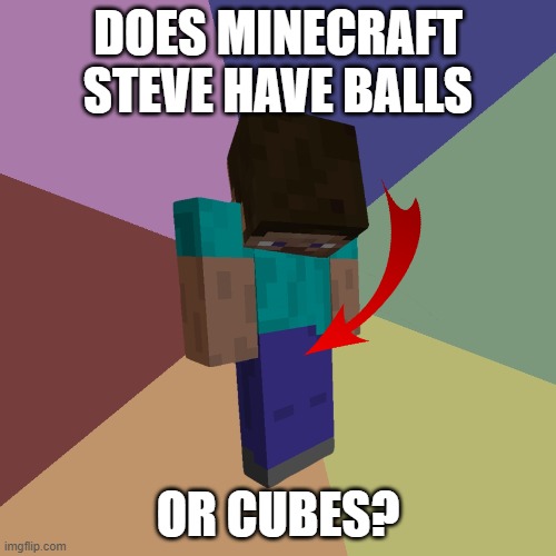 Minecraft Steve | DOES MINECRAFT STEVE HAVE BALLS; OR CUBES? | image tagged in minecraft steve,balls | made w/ Imgflip meme maker