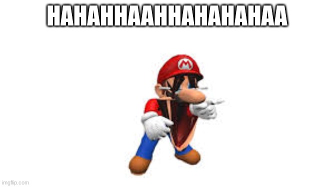 smg4 mario laughing | HAHAHHAAHHAHAHAHAA | image tagged in smg4 mario laughing | made w/ Imgflip meme maker