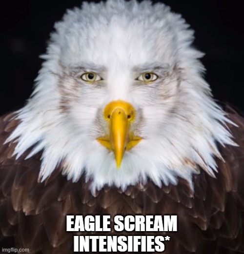 cursed eagle | EAGLE SCREAM INTENSIFIES* | image tagged in cursed eagle | made w/ Imgflip meme maker