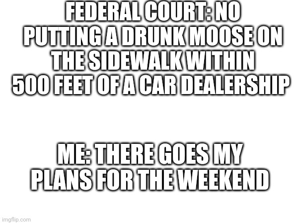 FEDERAL COURT: NO PUTTING A DRUNK MOOSE ON THE SIDEWALK WITHIN 500 FEET OF A CAR DEALERSHIP; ME: THERE GOES MY PLANS FOR THE WEEKEND | image tagged in it's the law | made w/ Imgflip meme maker