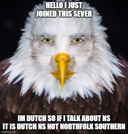 im dutch ello guys (mod note: hello) | HELLO I JUST JOINED THIS SEVER; IM DUTCH SO IF I TALK ABOUT NS IT IS DUTCH NS NOT NORTHFOLK SOUTHERN | image tagged in cursed eagle | made w/ Imgflip meme maker