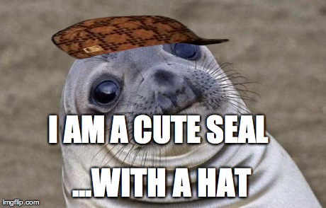 I AM A CUTE SEAL ...WITH A HAT | image tagged in memes,awkward moment sealion,scumbag | made w/ Imgflip meme maker