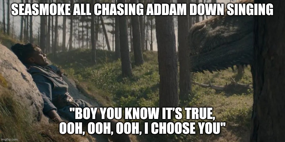 SEASMOKE ALL CHASING ADDAM DOWN SINGING; "BOY YOU KNOW IT’S TRUE, OOH, OOH, OOH, I CHOOSE YOU" | image tagged in house of the dragon | made w/ Imgflip meme maker