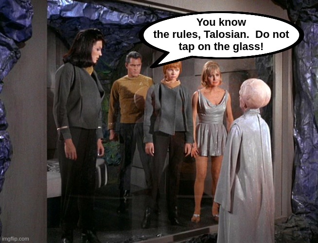 Star Trek | You know 
the rules, Talosian.  Do not 
tap on the glass! | image tagged in star trek | made w/ Imgflip meme maker