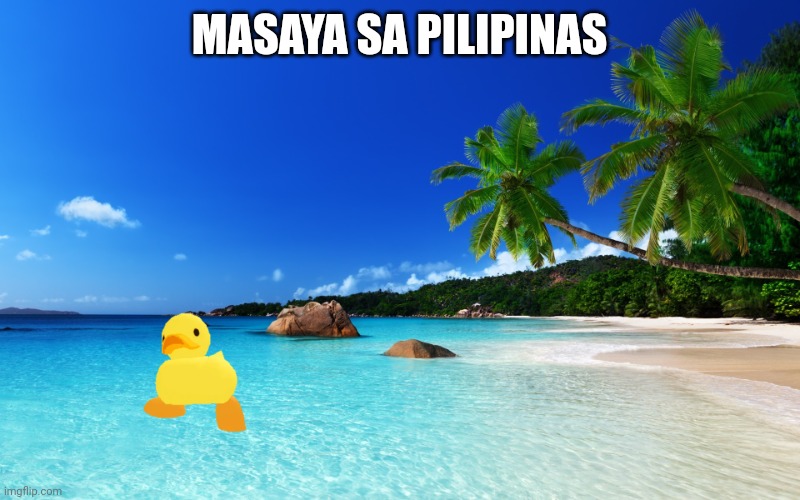 tropical island birthday | MASAYA SA PILIPINAS | image tagged in tropical island birthday | made w/ Imgflip meme maker