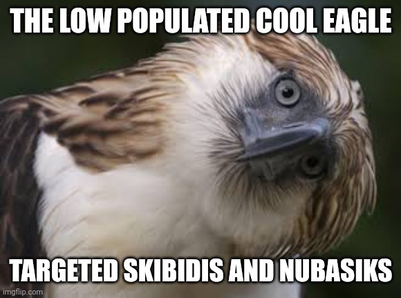 Philippine Eagle | THE LOW POPULATED COOL EAGLE TARGETED SKIBIDIS AND NUBASIKS | image tagged in philippine eagle | made w/ Imgflip meme maker