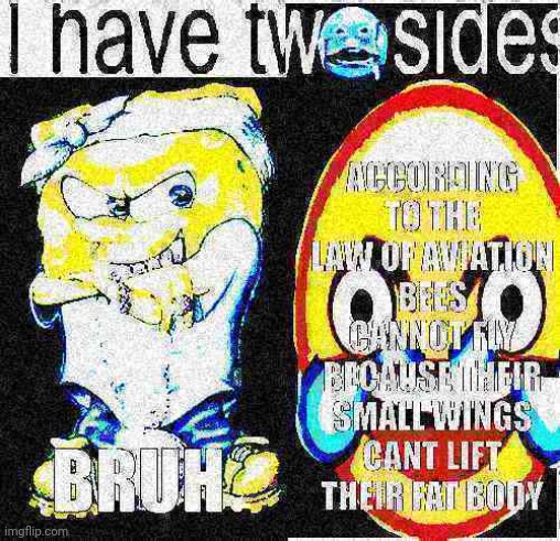 I have two sides | image tagged in i have two sides,bruh,bee movie script,deep fried | made w/ Imgflip meme maker