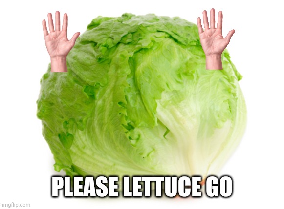 Lettuce  | PLEASE LETTUCE GO | image tagged in lettuce | made w/ Imgflip meme maker