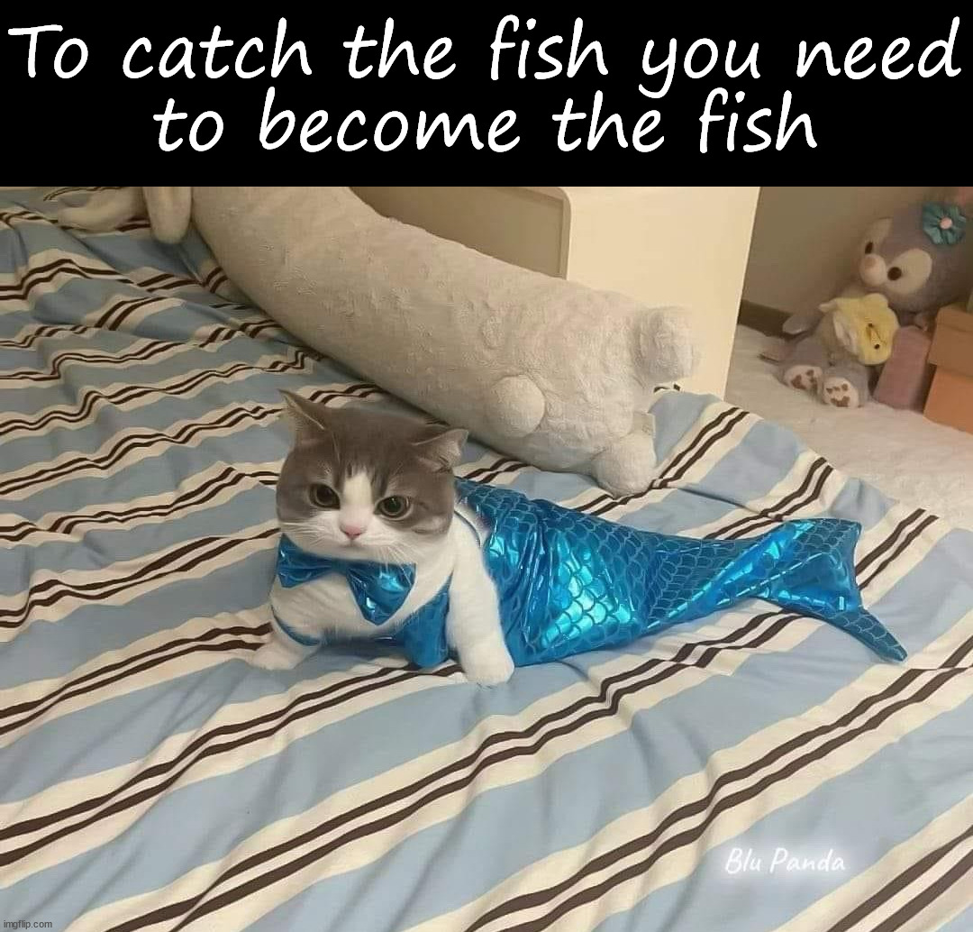 Fishy | To catch the fish you need
to become the fish | image tagged in cats | made w/ Imgflip meme maker