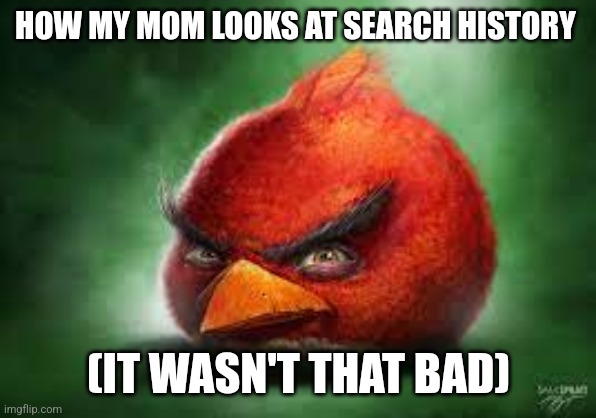 Real | HOW MY MOM LOOKS AT SEARCH HISTORY; (IT WASN'T THAT BAD) | made w/ Imgflip meme maker