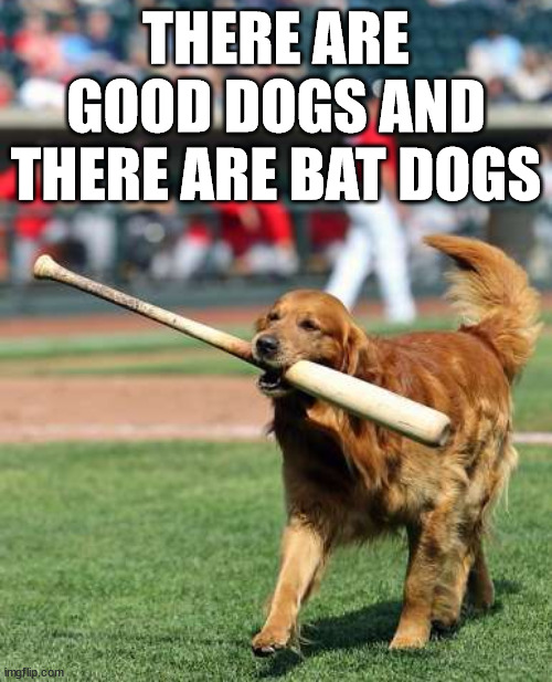 Bat dog | THERE ARE GOOD DOGS AND THERE ARE BAT DOGS | image tagged in dogs | made w/ Imgflip meme maker