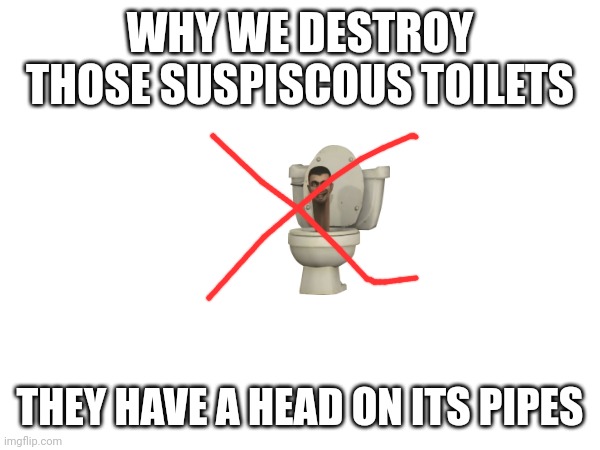 WHY WE DESTROY THOSE SUSPISCOUS TOILETS THEY HAVE A HEAD ON ITS PIPES | made w/ Imgflip meme maker