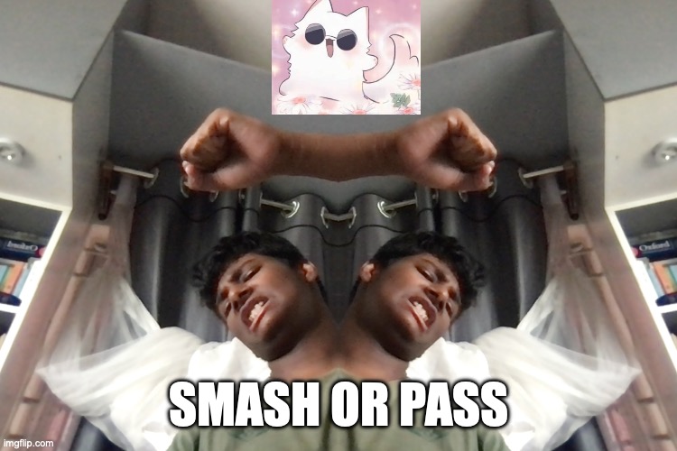 the editing is goofy ahh | SMASH OR PASS | made w/ Imgflip meme maker