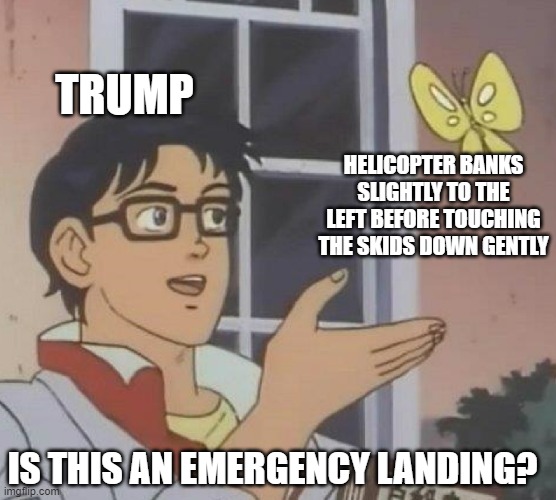 8zr4kd.jpg