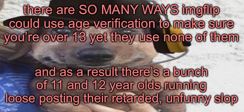 chucklenuts | there are SO MANY WAYS imgflip could use age verification to make sure you’re over 13 yet they use none of them; and as a result there’s a bunch of 11 and 12 year olds running loose posting their retarded, unfunny slop | image tagged in chucklenuts | made w/ Imgflip meme maker