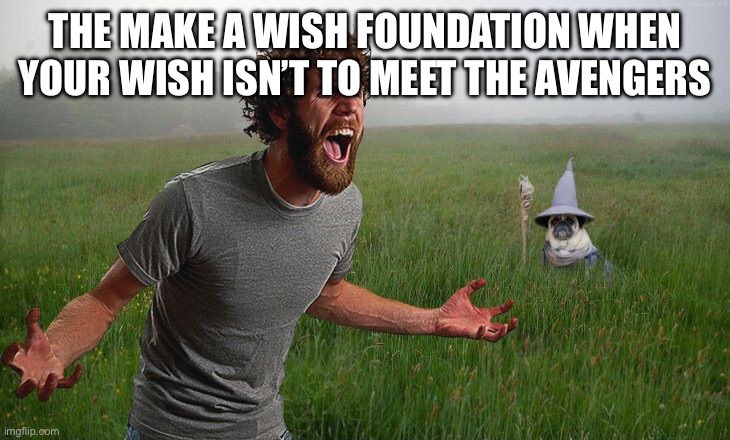 What if they don’t want to meet the avengers | THE MAKE A WISH FOUNDATION WHEN YOUR WISH ISN’T TO MEET THE AVENGERS | image tagged in oh come on,avengers | made w/ Imgflip meme maker