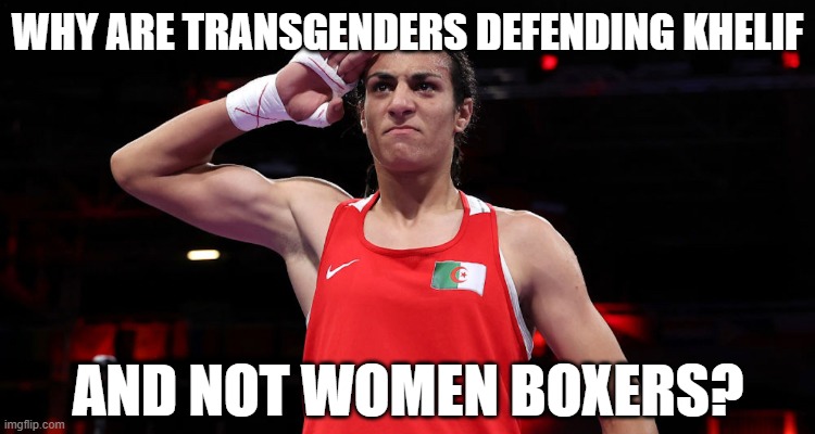 Imane Khelif Salute | WHY ARE TRANSGENDERS DEFENDING KHELIF; AND NOT WOMEN BOXERS? | image tagged in imane khelif salute | made w/ Imgflip meme maker