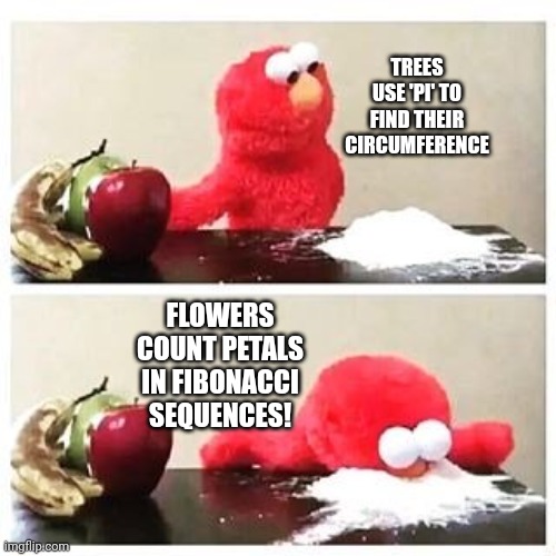 elmo cocaine | TREES USE 'PI' TO FIND THEIR CIRCUMFERENCE; FLOWERS COUNT PETALS IN FIBONACCI SEQUENCES! | image tagged in elmo cocaine | made w/ Imgflip meme maker