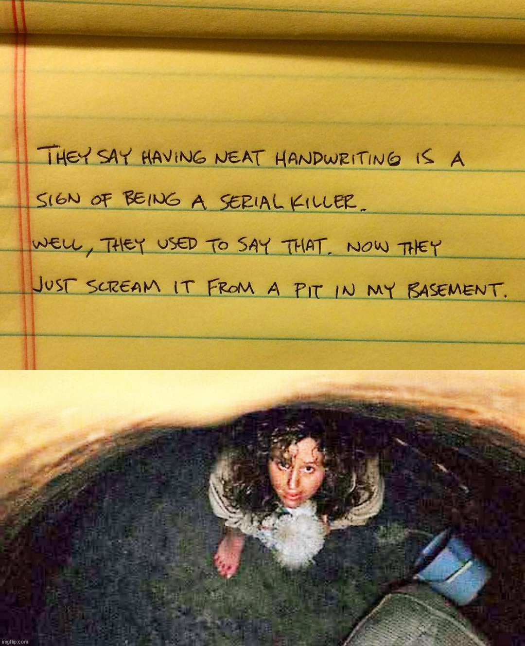 I think they are just mad at me | image tagged in girl in pit silence of the lambs | made w/ Imgflip meme maker