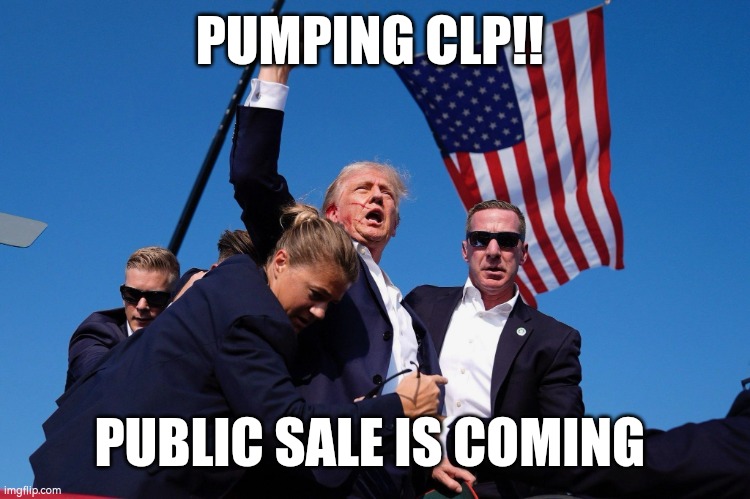 Donald | PUMPING CLP!! PUBLIC SALE IS COMING | image tagged in donald trump | made w/ Imgflip meme maker