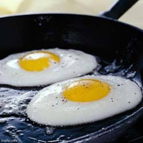 Fried eggs | image tagged in fried eggs | made w/ Imgflip meme maker