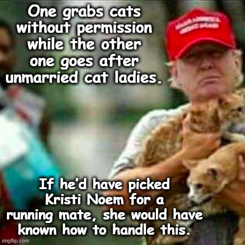 MAGA- Relationship with Cats | One grabs cats without permission while the other one goes after unmarried cat ladies. If he’d have picked Kristi Noem for a running mate, she would have known how to handle this. | image tagged in maga,basket of deplorables,nevertrump meme,presidential election,cats,animal meme | made w/ Imgflip meme maker