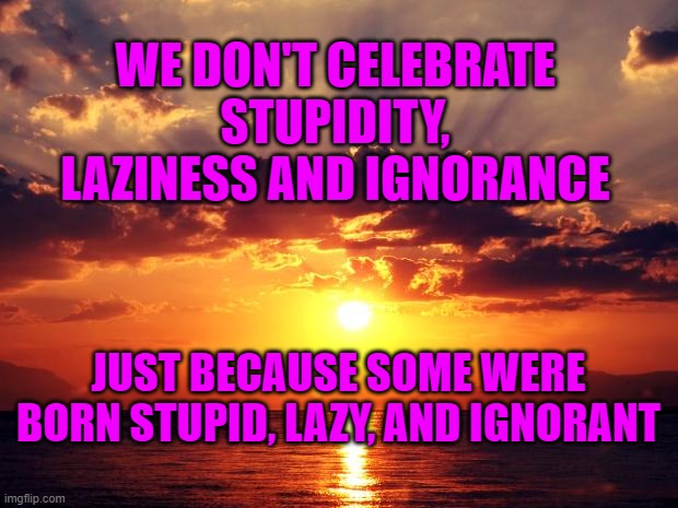 Sunset | WE DON'T CELEBRATE STUPIDITY, LAZINESS AND IGNORANCE; JUST BECAUSE SOME WERE BORN STUPID, LAZY, AND IGNORANT | image tagged in sunset | made w/ Imgflip meme maker