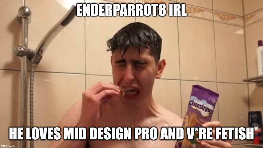 Crying manchild | ENDERPARROT8 IRL HE LOVES MID DESIGN PRO AND V*RE FETISH | image tagged in crying manchild | made w/ Imgflip meme maker