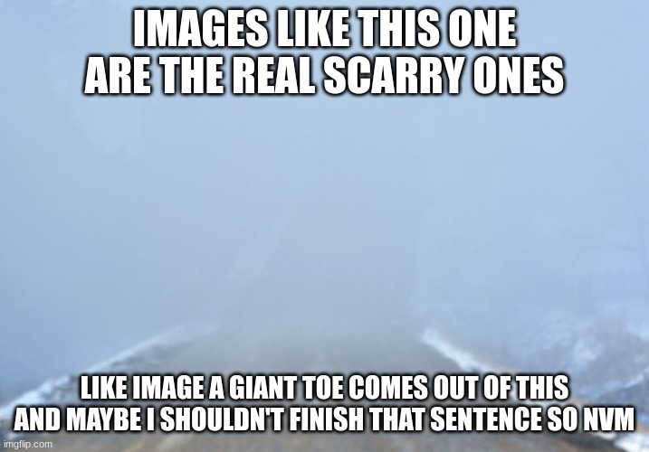 I think its called fog core | IMAGES LIKE THIS ONE ARE THE REAL SCARRY ONES; LIKE IMAGE A GIANT TOE COMES OUT OF THIS AND MAYBE I SHOULDN'T FINISH THAT SENTENCE SO NVM | image tagged in into the fog | made w/ Imgflip meme maker