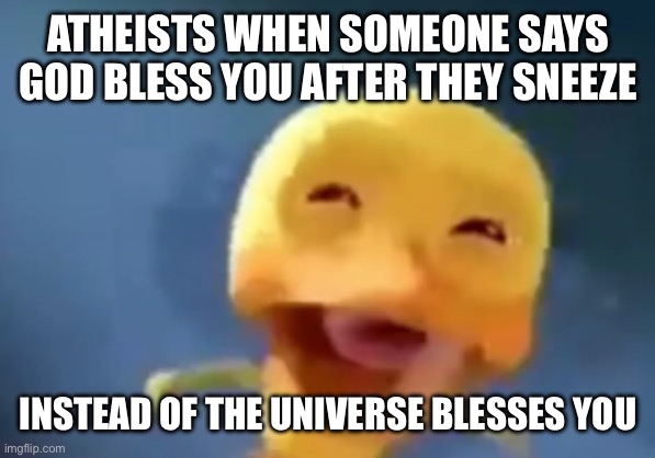 crying duck | ATHEISTS WHEN SOMEONE SAYS GOD BLESS YOU AFTER THEY SNEEZE INSTEAD OF THE UNIVERSE BLESSES YOU | image tagged in crying duck | made w/ Imgflip meme maker