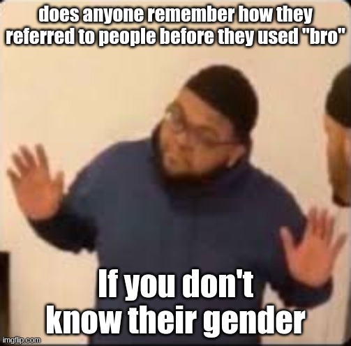 does anyone remember how they referred to people before they used "bro"; If you don't know their gender | image tagged in druski hands up | made w/ Imgflip meme maker