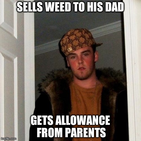 Scumbag Steve | SELLS WEED TO HIS DAD GETS ALLOWANCE FROM PARENTS | image tagged in memes,scumbag steve | made w/ Imgflip meme maker