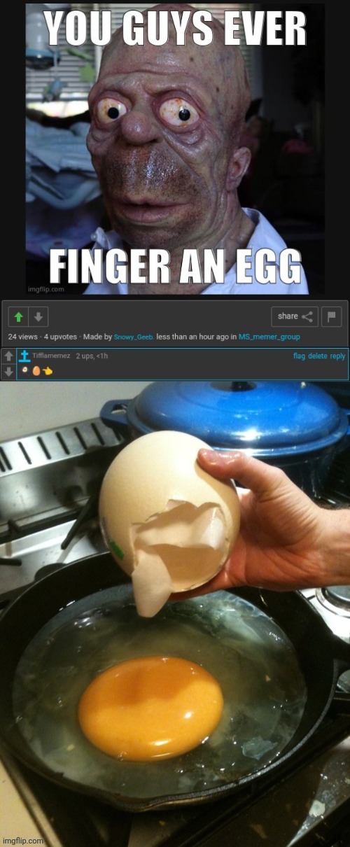 For it to crack and then cook an egg | image tagged in egg | made w/ Imgflip meme maker