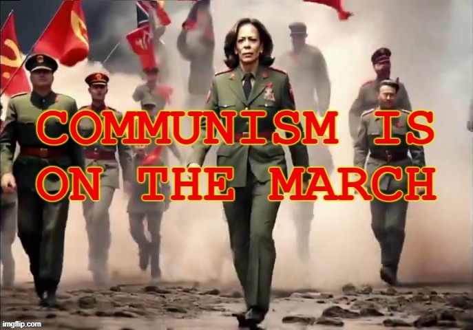 Remember in November | image tagged in coup,communism,kamala harris,radical,2024,elections | made w/ Imgflip meme maker