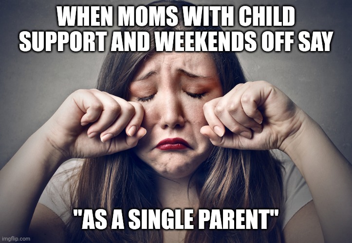 boohoo | WHEN MOMS WITH CHILD SUPPORT AND WEEKENDS OFF SAY; "AS A SINGLE PARENT" | image tagged in boohoo | made w/ Imgflip meme maker