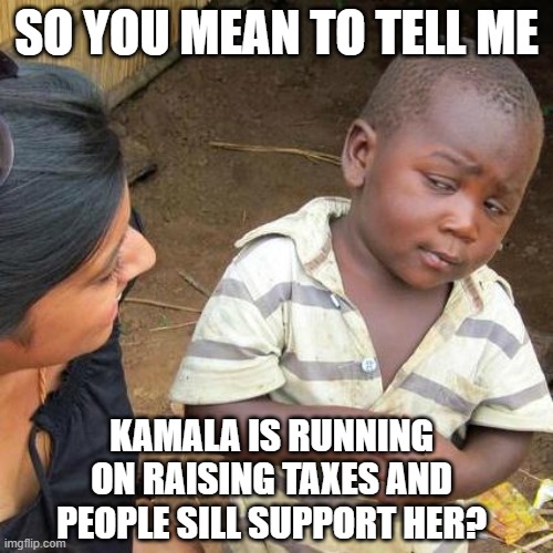 If you cheer when you hear "more taxes" you are helping the problem | SO YOU MEAN TO TELL ME; KAMALA IS RUNNING ON RAISING TAXES AND PEOPLE SILL SUPPORT HER? | image tagged in memes,third world skeptical kid,funny,politics,oh wow are you actually reading these tags | made w/ Imgflip meme maker