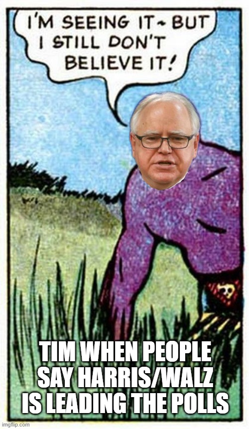 Funny what the media is setting up a steal | TIM WHEN PEOPLE SAY HARRIS/WALZ IS LEADING THE POLLS | image tagged in seeing it | made w/ Imgflip meme maker