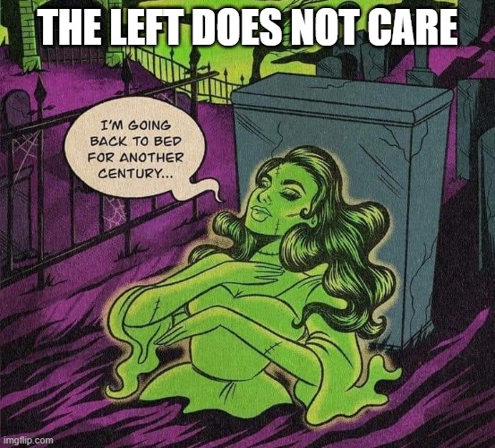 back to bed | THE LEFT DOES NOT CARE | image tagged in back to bed | made w/ Imgflip meme maker